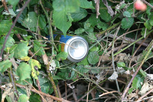 France, Normandie, Seine Maritime, salete, trottoir, dechets, developpement durable, detritus, pollution des talus, canette de soda,