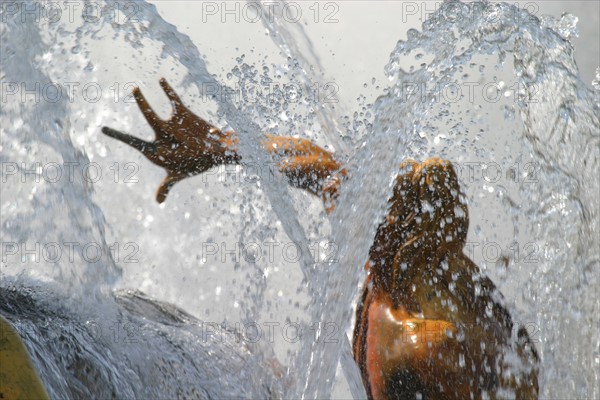 France, yvelines, Versailles, chateau, grandes eaux de Versailles, fontaine, jets d'eau sculpture,