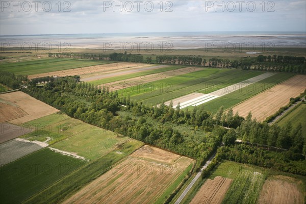 France, Basse Normandie/Bretagne, Manche/ Ille et Vilaine, baie du Mont-Saint-Michel, vue aerienne, polders, agriculture, champs,