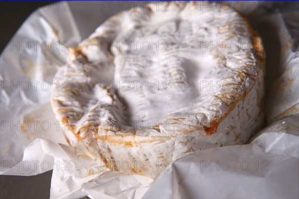 France, Normandie, gastronomie normande, fromage, camembert au lait cru de marque gillot, moule a la louche,