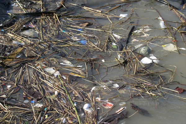 France, Haute Normandie, eure, aizier, pollution en Seine, detritus, salete, environnement, developpement durable, dechets,