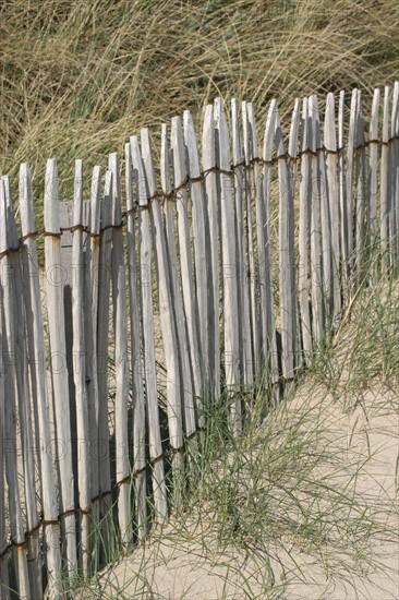 France, Basse Normandie, Manche, Cotentin, cap de la hague, anse de sciotot, dunes, littoral, sable, cordon de retenue, cloture, piquets,