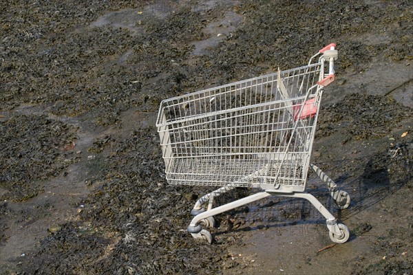 france, Normandie, pollution, Manche, Cherbourg, charriot de supermarche, caddie, au fond du port a maree basse, dechets, detritus, develeoppement durable,