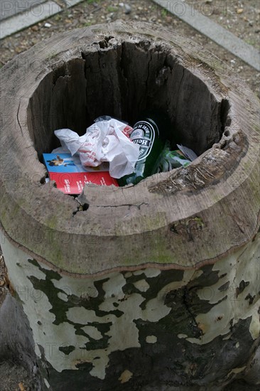 France, trunk of sycamore serving as trash