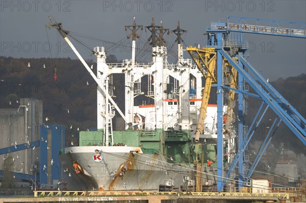 France: Normandie, Seine Maritime, vallee de la Seine, grand port de mer de Rouen, silo simarex, cargo en chargement, cereales, oiseaux, grues,