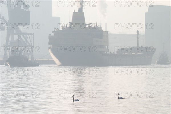 France: Normandie, Seine Maritime, vallee de la Seine, grand port de mer de Rouen, silos a cereales, cargo a quai, cygnes sur la Seine, brume,