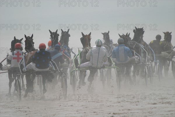 France, Normandie, Manche, jullouville les pins, course de trot sur la plage, cheval, trotteur, brouillard,