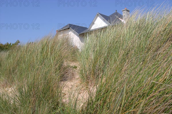 France, Basse Normandie, Manche, baie du Mont-Saint-Michel, jullouville les pins, front de mer, promenande, dunes, maison