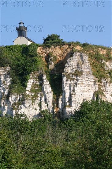 France, marais vernier