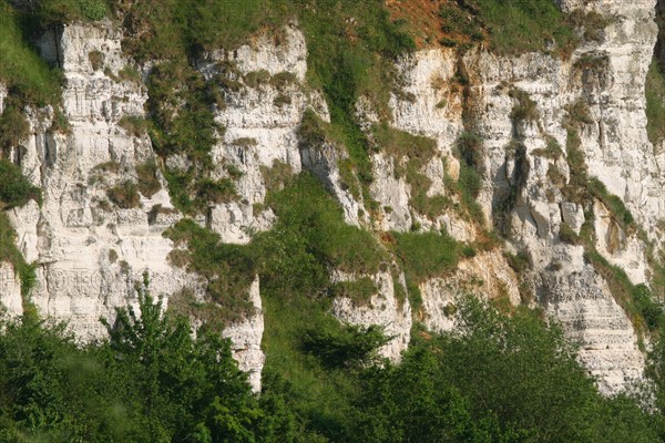 France, marais vernier