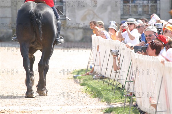 France, Normandie, orne, , haras du pin, les jeudis du haras, presentation d'attelages, chevaux, etalons, public, spectateurs