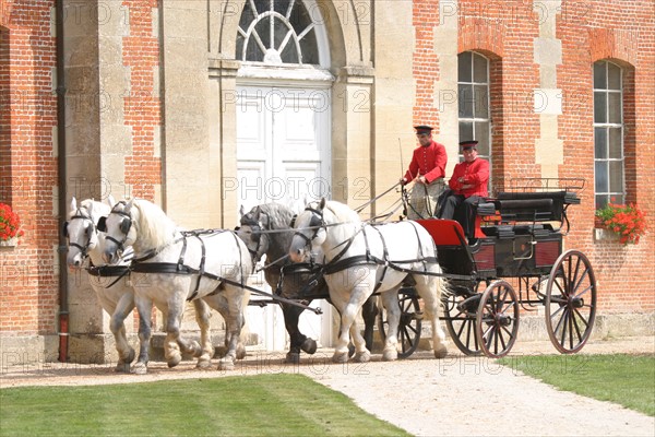 France, Normandie, orne, , haras du pin, les jeudis du haras, presentation d'attelages, chevaux, etalons, costumes, tenue d'apparat,