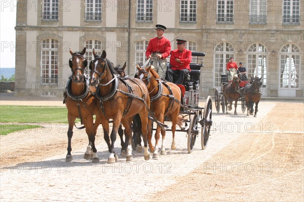 France, Normandie, orne, haras du pin, les jeudis du haras, presentation d'attelages, cheval de trait, chateau, haras national, nonant le pin,