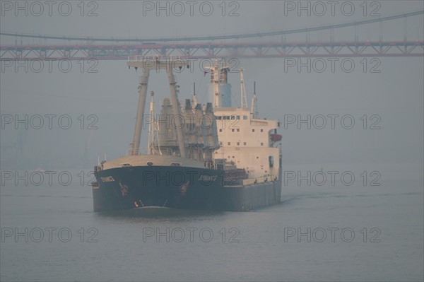 France : Normandie, Seine Maritime, vallee de la Seine, grand port de mer de Rouen, montee de Seine, cargo Dynamic G sous le pont de Tancarville