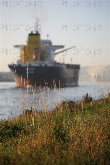 France : Normandie, Seine Maritime, vallee de la Seine, grand port de mer de Rouen, cargo descendant la Seine, quai des roches a Croisset, herbe