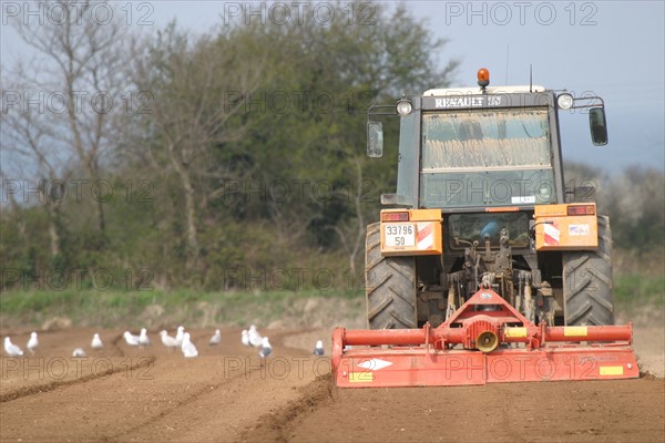 France, ploughing tractor