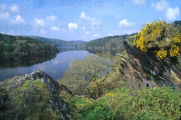 France, Bretagne, Cotes d'Armor, lac de Guerledan, plan d'eau amenage, rochers, genets,