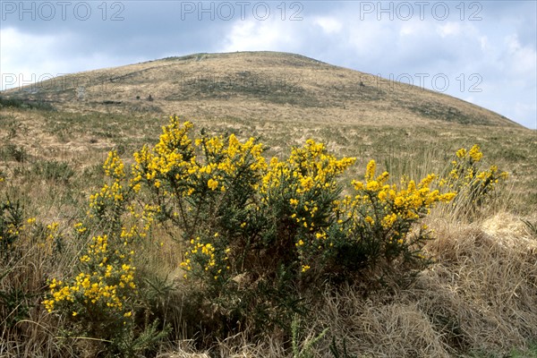 France, Bretagne, Finistere, monts d'arree, paysage, rochers, lande sauvage, Montagne Saint Michel