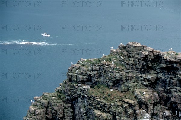 France, Bretagne, Cotes d'Armor, cote d'Emeraude, cap Frehel, phare, sentier des douaniers, chemin littoral, GR 34, randonnee, ciel d'orage tres menacant, rocher ou nichent des oiseaux, goelands, bateau de plaisance en mer,