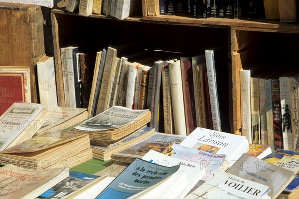 France, Bretagne, Ille et Vilaine, Becherel, cite du livre, petite cite de caractere, bibliophilie, livres anciens, brocante, vieux papiers, marche du livre, foire,