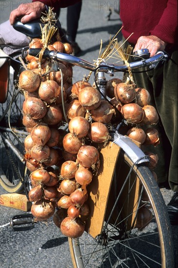 France, Bretagne, Finistere nord, pays du leon, Roscoff, velo de "Johnnie" charge d'oignon, tradition roscovite,