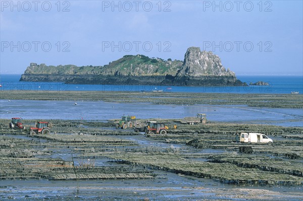 France, Bretagne, Ille et Vilaine, pays de la baie du Mont-Saint-Michel, cancale, parcs a huitres et rocher de cancale, ostreiculture, tracteur, gastronomie,