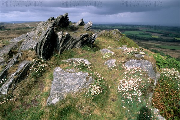 France, Bretagne, Finistere, monts d'arree, au sommet du roc'h trevezel, point culminant a 364 metres, paysage, rochers, lande sauvage,