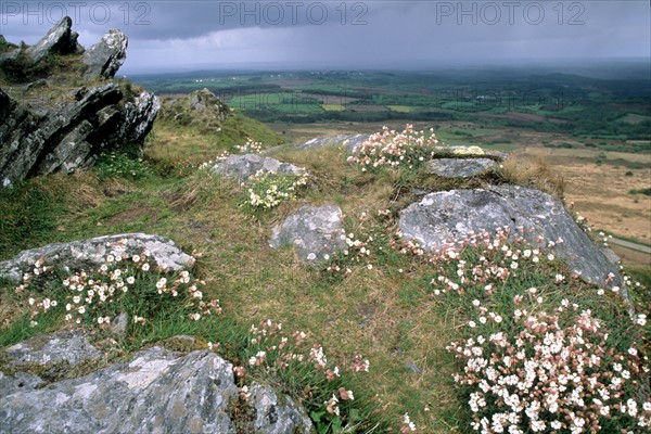 France, Bretagne, Finistere, monts d'arree, au sommet du roc'h trevezel, point culminant a 364 metres, paysage, rochers, lande sauvage,