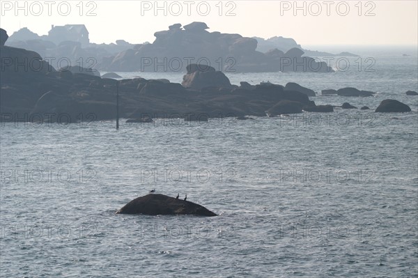 France, Bretagne, Cotes d'Armor, cote de granit rose, ploumanach, rochers aux formes evocatrices, depuis la mer,