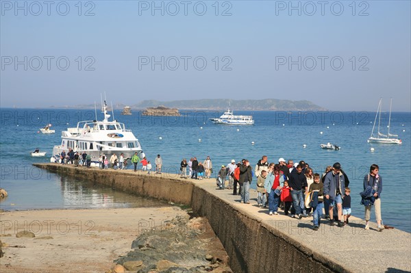 France, Bretagne, Cotes d'Armor, cote de granit rose, les sept iles, croisiere aux sept iles, depart de perros guirec,