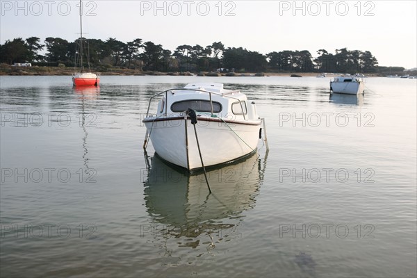 France, Bretagne, Cotes d'Armor, cote de granit rose, Tregastel, bateaux de plaisance, maree haute, ile Renote