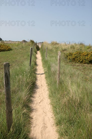 France, Bretagne, Cotes d'Armor, cote d'Emeraude, sables d'or les pins, la plage, chemin littoral dans les dunes