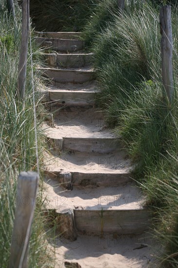 France, Bretagne, Cotes d'Armor, cote d'Emeraude, sables d'or les pins, la plage, escaliers dans les dunes, sable, oyats,