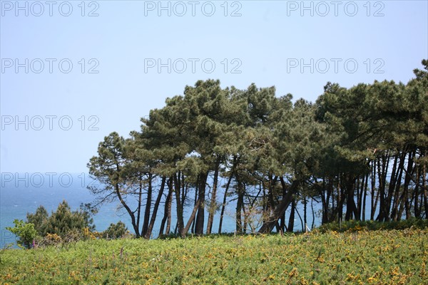 France, cotes d'armor