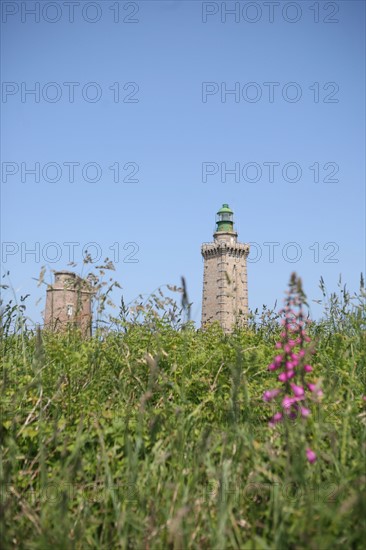 France, Bretagne, Cotes d'Armor, phare du cap frehel, granit, signalisation maritime, fleurs dans le chemin cotier,