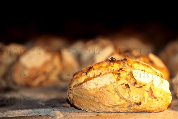 France, Bretagne, Finistere, gastronomie, pain de la ferme du grain au pain, ergue gaberic,