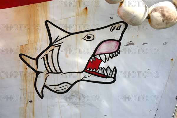 France, Bretagne, Finistere sud, pays bigouden, le guilvinec, port de peche, detail d'un motif requin peint sur une coque de chalutier,