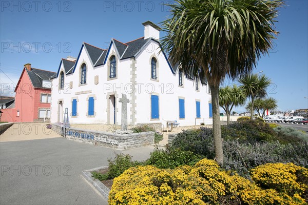 France, Bretagne, Finistere sud, pays bigouden, le guilvinec, port de peche, abri du marin, mediatheque, palmier,