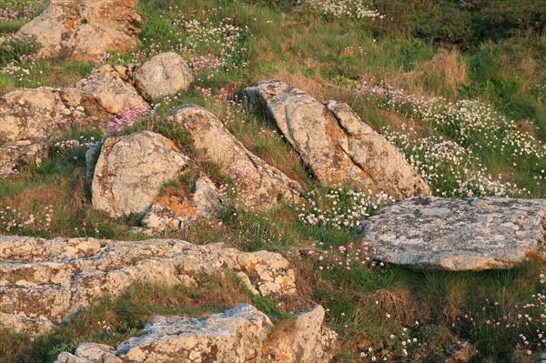 France, Bretagne, Finistere sud, Cornouaille, port manech, embouchure de l'Aven et du Belon, au fil du sentier littoral, rochers,