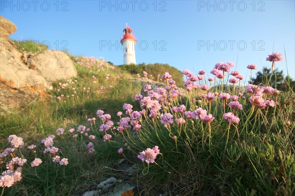 France, Bretagne, Finistere sud, Cornouaille, port manech, embouchure de l'Aven et du Belon, armeries maritimes et phare, au fil de la promenade du sentier littoral,