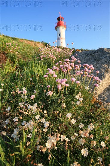 France, cornwall