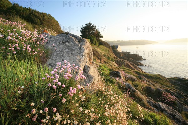 France, cornwall