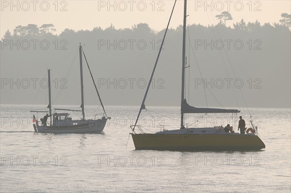 France, Bretagne, Finistere sud, Cornouaille, port manech, embouchure de l'Aven et du Belon, lever de soleil,