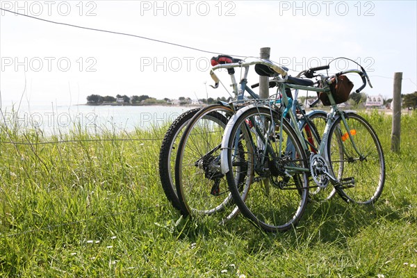 France, Bretagne, Finistere, pays bigouden, loctudy Lodonnec, sentier littoral, velos poses sur une cloture,