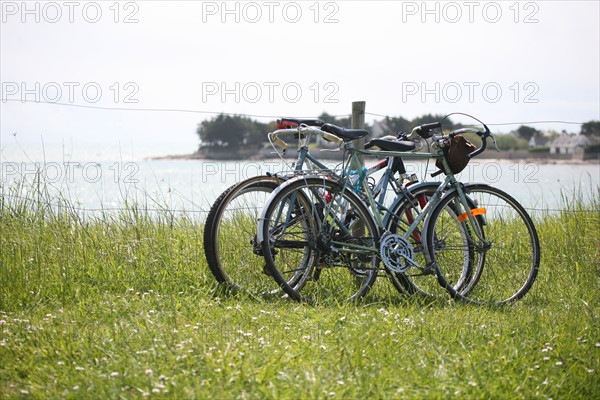 France, Bretagne, Finistere, pays bigouden, loctudy Lodonnec, sentier littoral, velos poses sur une cloture,