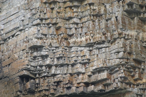 France, Bretagne, Finistere, presqu'ile de crozon, cap de la chevre, detail matiere de la roche de la falaise,