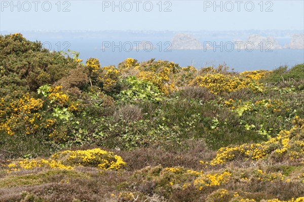 France, crozon peninsula