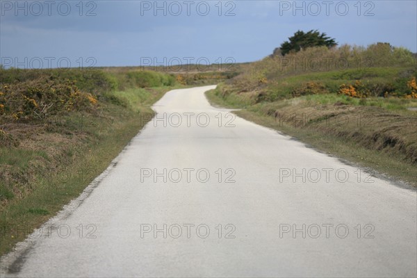 France, Bretagne, Finistere, presqu'ile de crozon, cap de la chevre, route deserte,