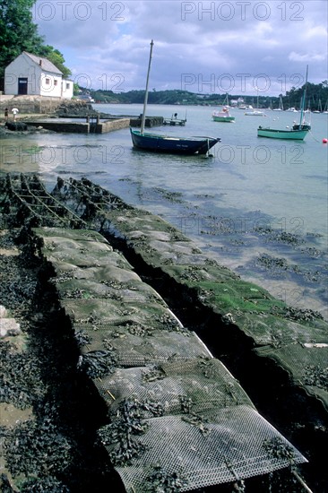 France, Bretagne, Finistere sud, Cornouaille, riec sur belon, ostreiculture, parcs a huitres,