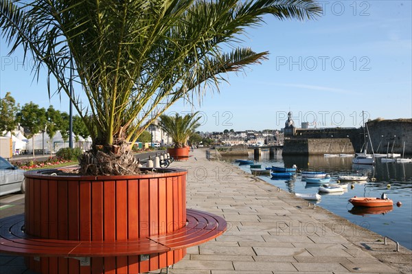 France, Bretagne, Finistere sud, Cornouaille, Concarneau, quai peneroff, palmiers en pot, promenade, bord du port, ville close, bateaux amarres,